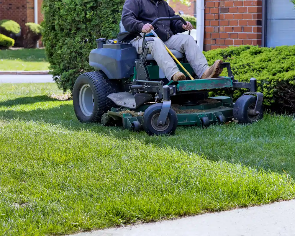 Lawn care and yard work